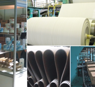 Paper Mill Holding в Узбекистане