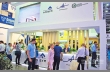 Pulp Mill Holding продолжает активно развиваться  по всем направлениям