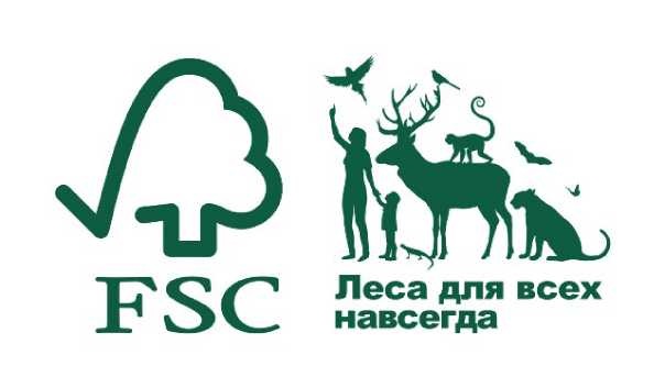 Площади FSC-сертифицированных лесов в России достигли рекорда 