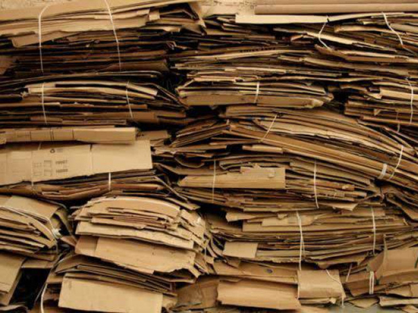 China 2019 analysis and forecast on waste paper consumption