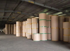 Paper making sector is growing in China