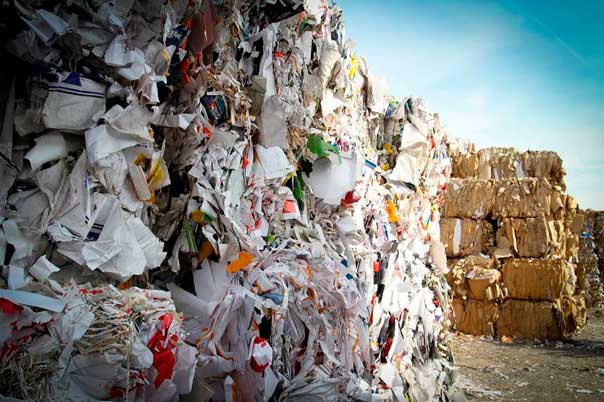 Growth ahead for multi-billion paper recycling sector