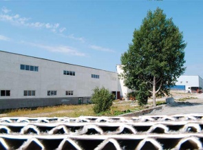 Возрожденная