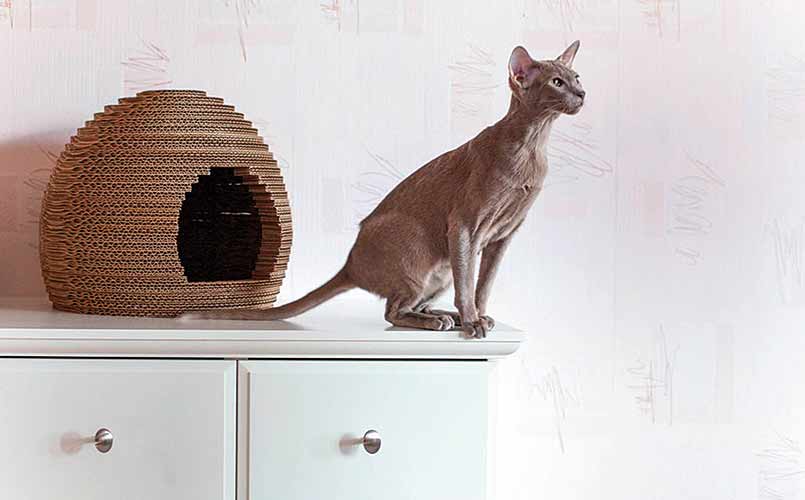 Кошкин дом