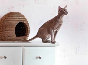 Кошкин дом