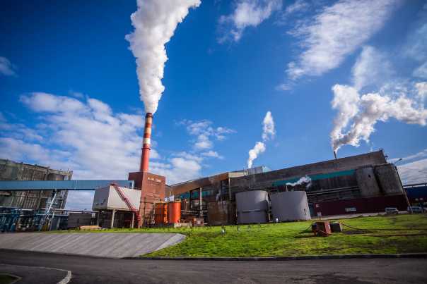 Все предприятия Pulp Mill Holding и ГК «Титан» работают в штатном режиме в условиях COVID-19