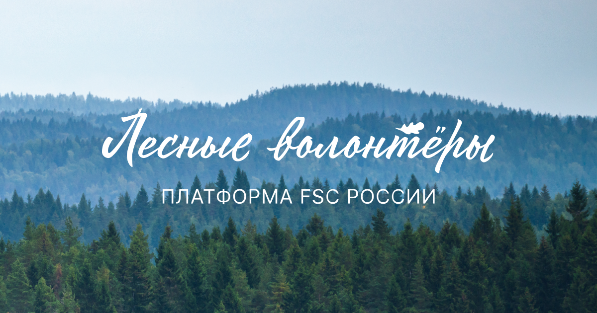 Платформа «Лесные волонтёры» - новый проект FSC России