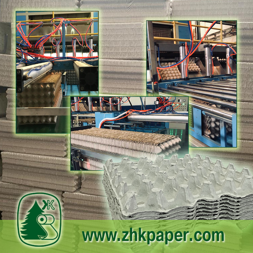 Modern market conditions are all about ecological packaging