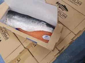 Экологичная упаковка для морепродуктов от Stora Enso