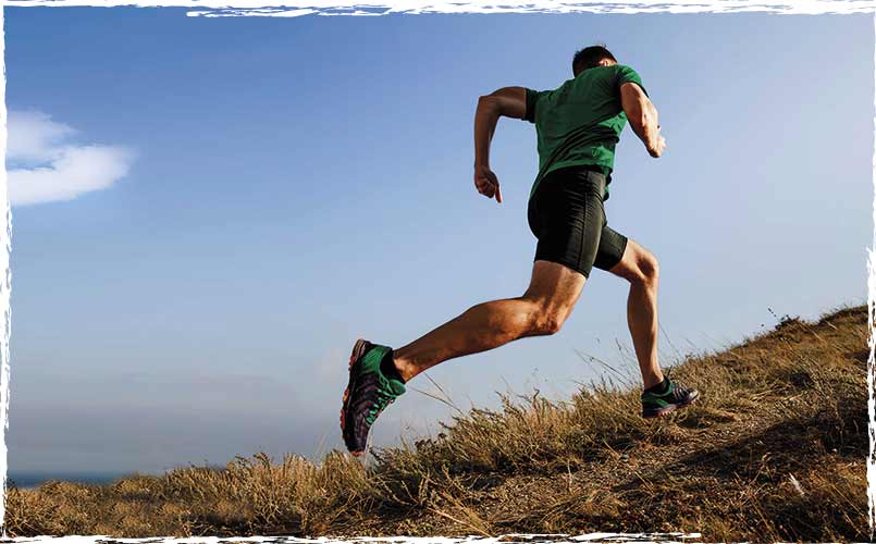 50 ЛЕТ Стремления  к совершенству Ducker