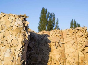 Sustainalytics признала Smurfit Kappa лучшей компанией в области устойчивого развития