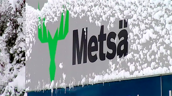 METSÄ BOARD лидирует в программе по охране лесов