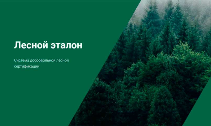 Выдан первый сертификат системы «Лесной эталон»