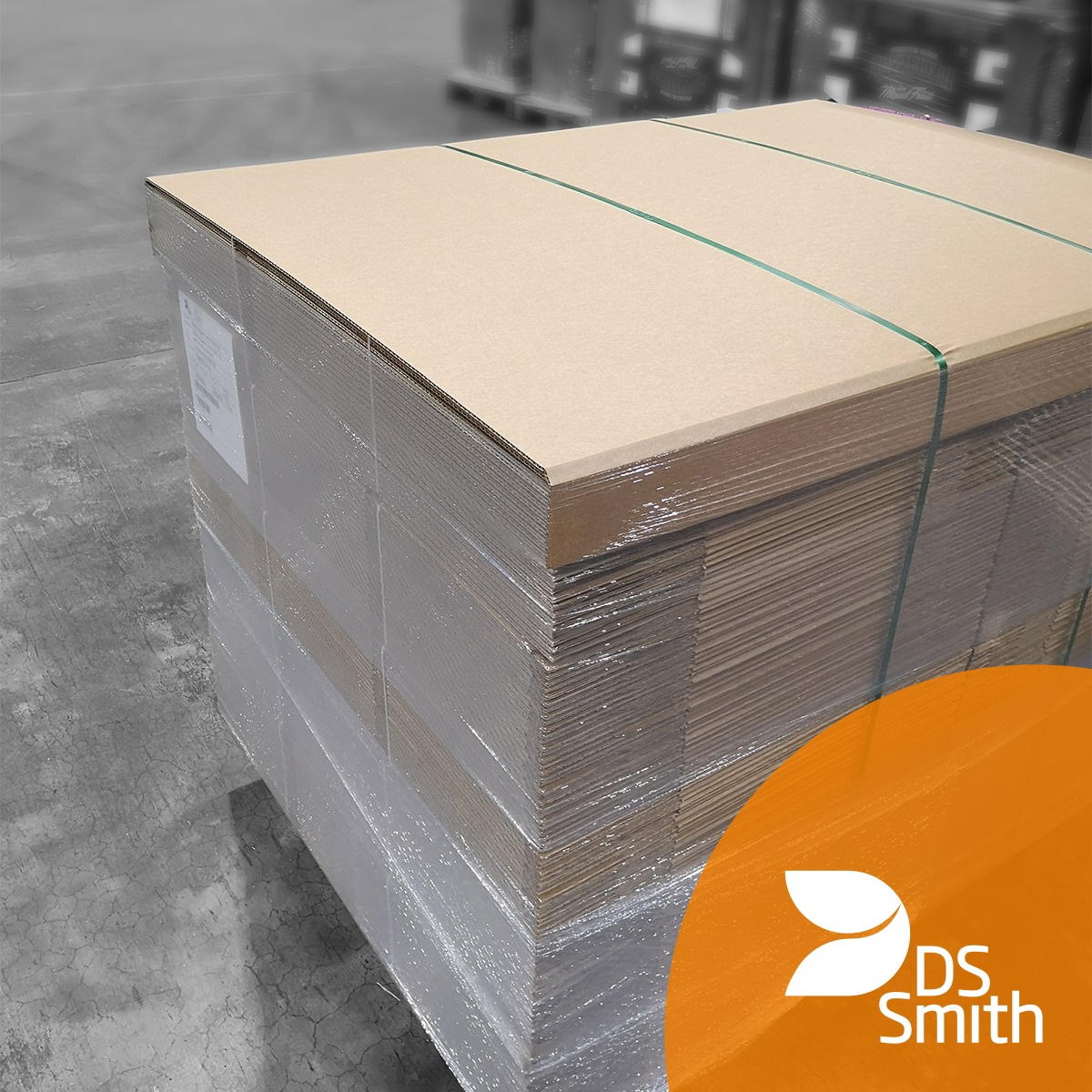 У 2022-2023 фінансовому році виручка DS Smith зросла на 11%