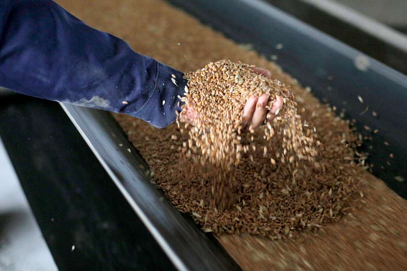 FAO Brief on the interruption of the Black Sea Grain Initiative and its potential implications on global food markets and food security