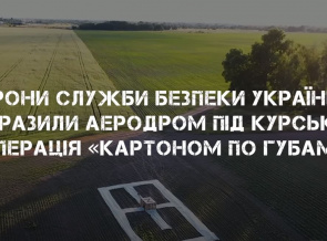 Картоном по губам. Дрони з картону