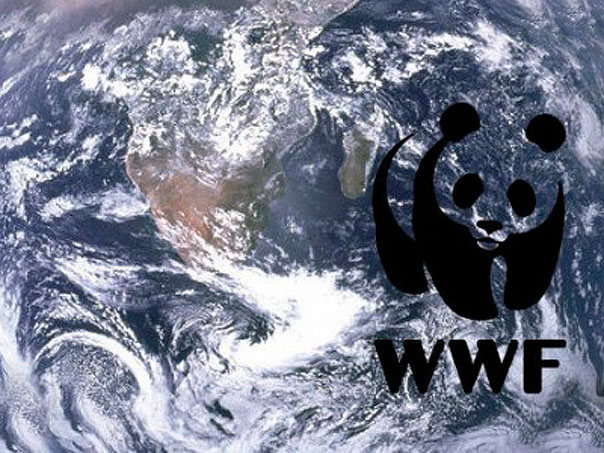 Mondi и WWF продлевают соглашение о стратегическом партнерстве на три года