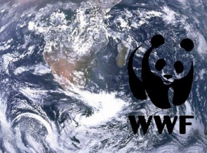 Mondi и WWF продлевают соглашение о стратегическом партнерстве на три года