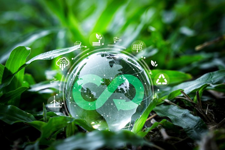 Скорочення відходів у Європі: розроблено для циркулярної економіки