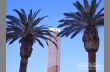 Trump Hotel Las Vegas and palms