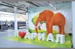Слон из гофрокартона демонстрирует  производственные возможности ООО «Ариал»