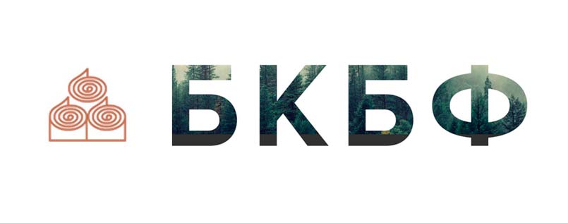 Боровичская картонно-бумажная фабрика