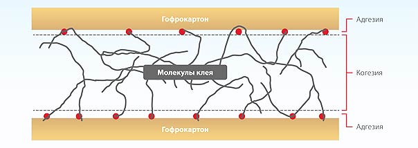 Рис. 3. Гофроупаковка с соединением при помощи скоб. Клеевое соединение