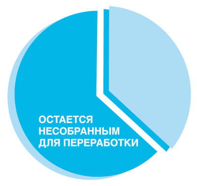 Эко-упаковка как оптимизация бизнеса