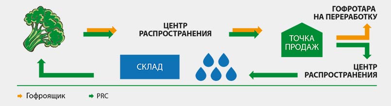 Сценарий распределения и стоимости  транспортировки брокколи