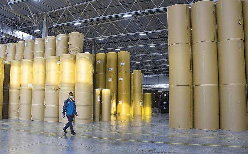 Финансовые итоги гофрозаводов  и ЦБК в России за 2021 год